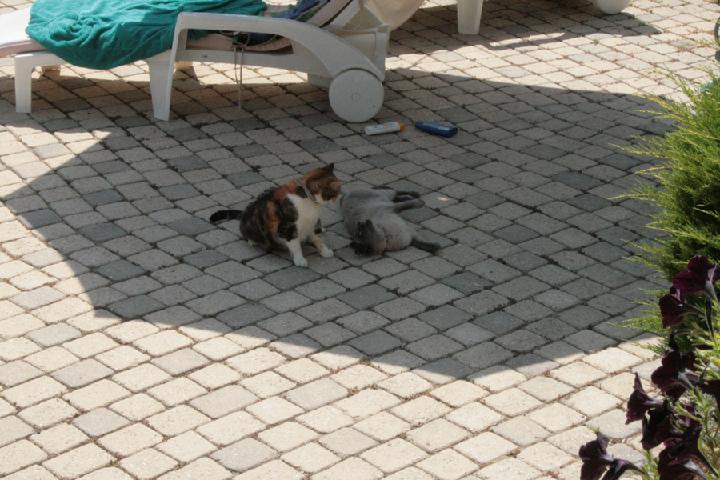 2012-08 004.JPG